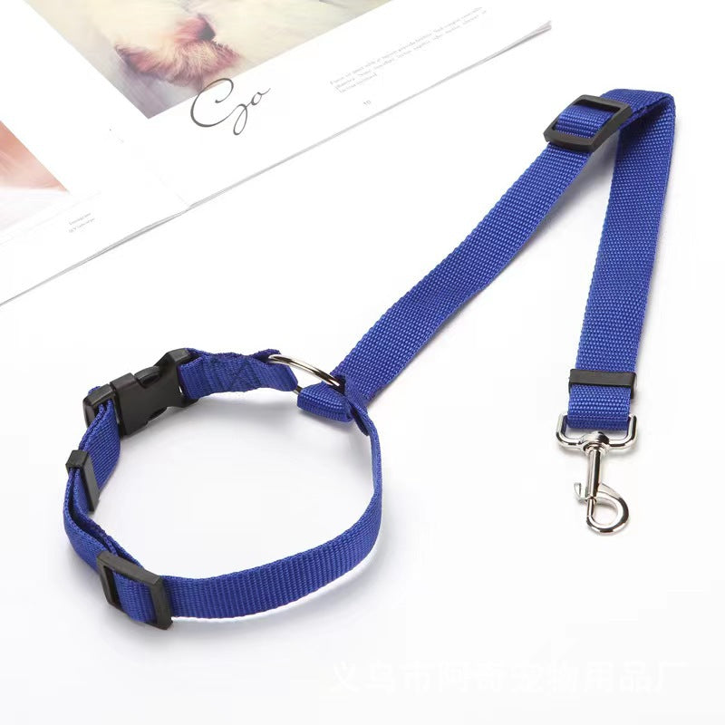 PetTrek JourneyGuard™ Leash