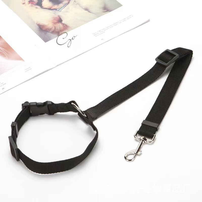 PetTrek JourneyGuard™ Leash