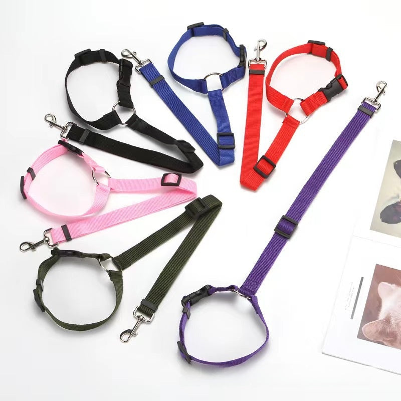 PetTrek JourneyGuard™ Leash