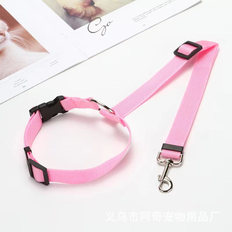 PetTrek JourneyGuard™ Leash