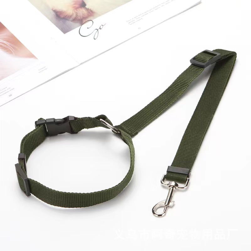 PetTrek JourneyGuard™ Leash