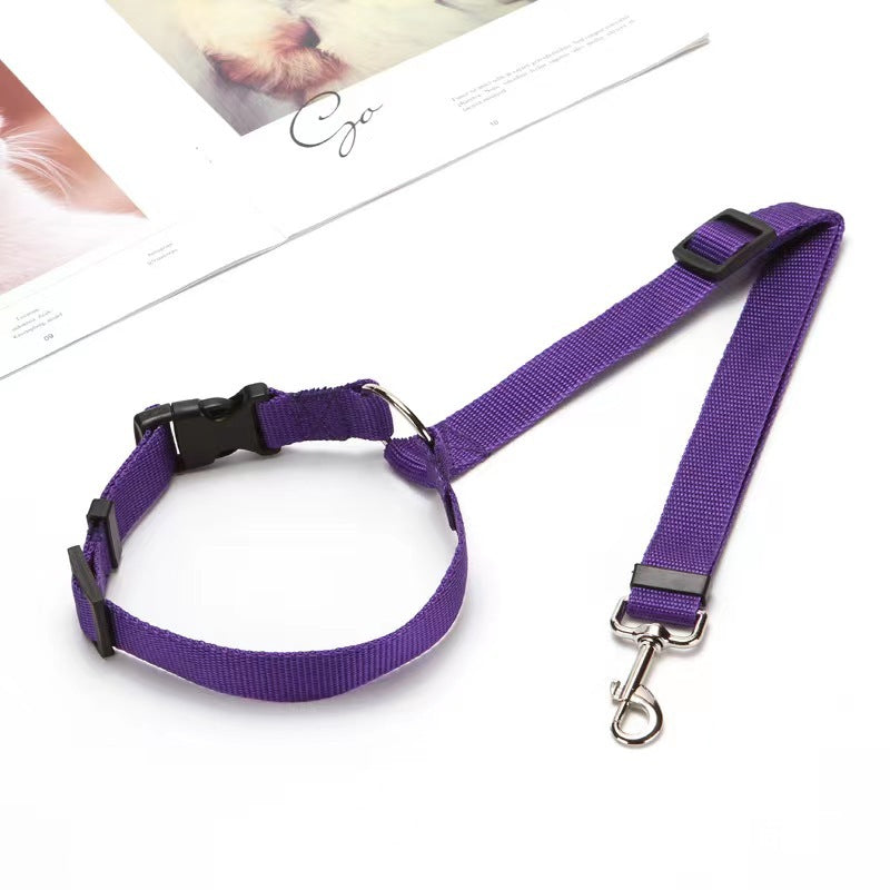 PetTrek JourneyGuard™ Leash