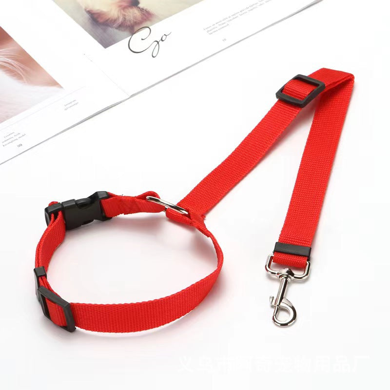 PetTrek JourneyGuard™ Leash