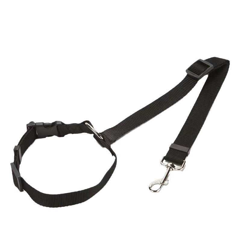 PetTrek JourneyGuard™ Leash