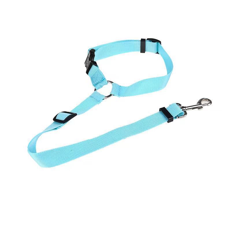 PetTrek JourneyGuard™ Leash