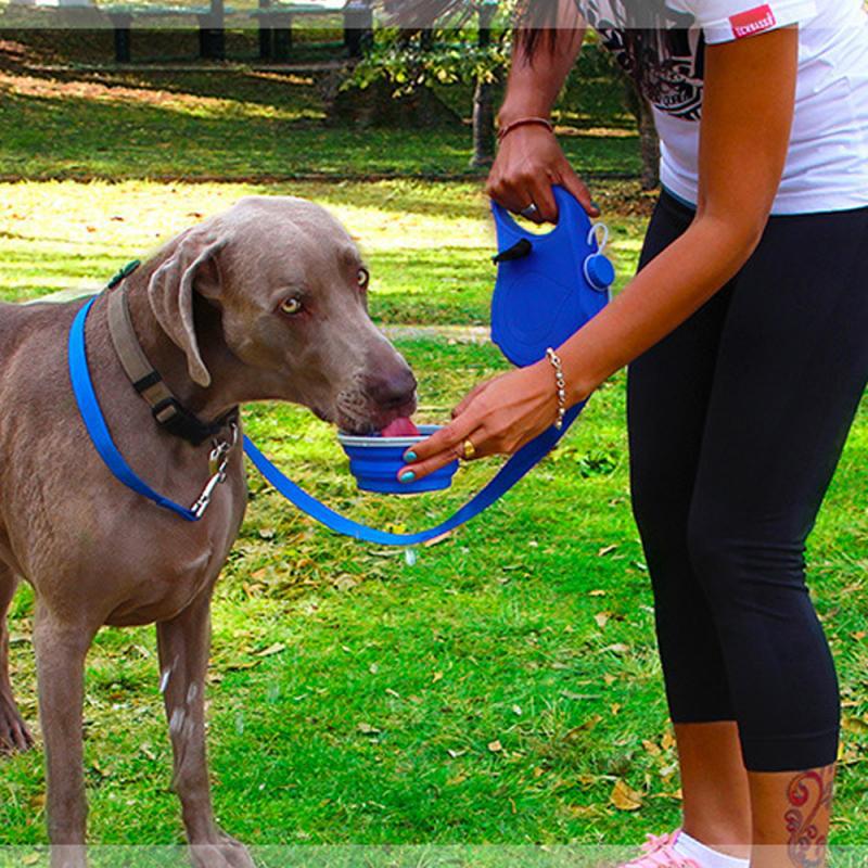Dog drinking from a blue bowl held by a person in a park