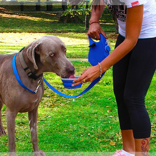 Dog drinking from a blue bowl held by a person in a park